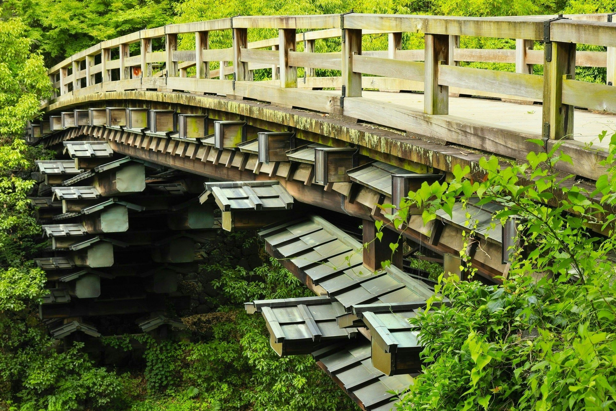 🌉 원숭이 다리(사루하시) 이미지 4